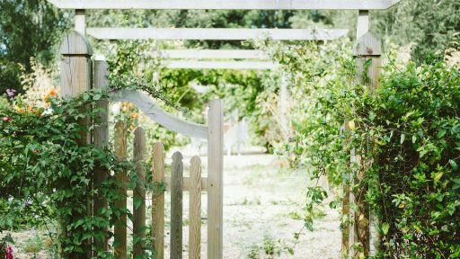 beige wooden fence covered with green vine plants