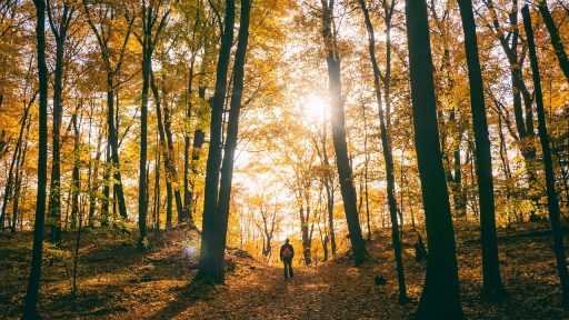 Man die 's ochtends buiten wandelt in de herfst met koud ochtendlicht