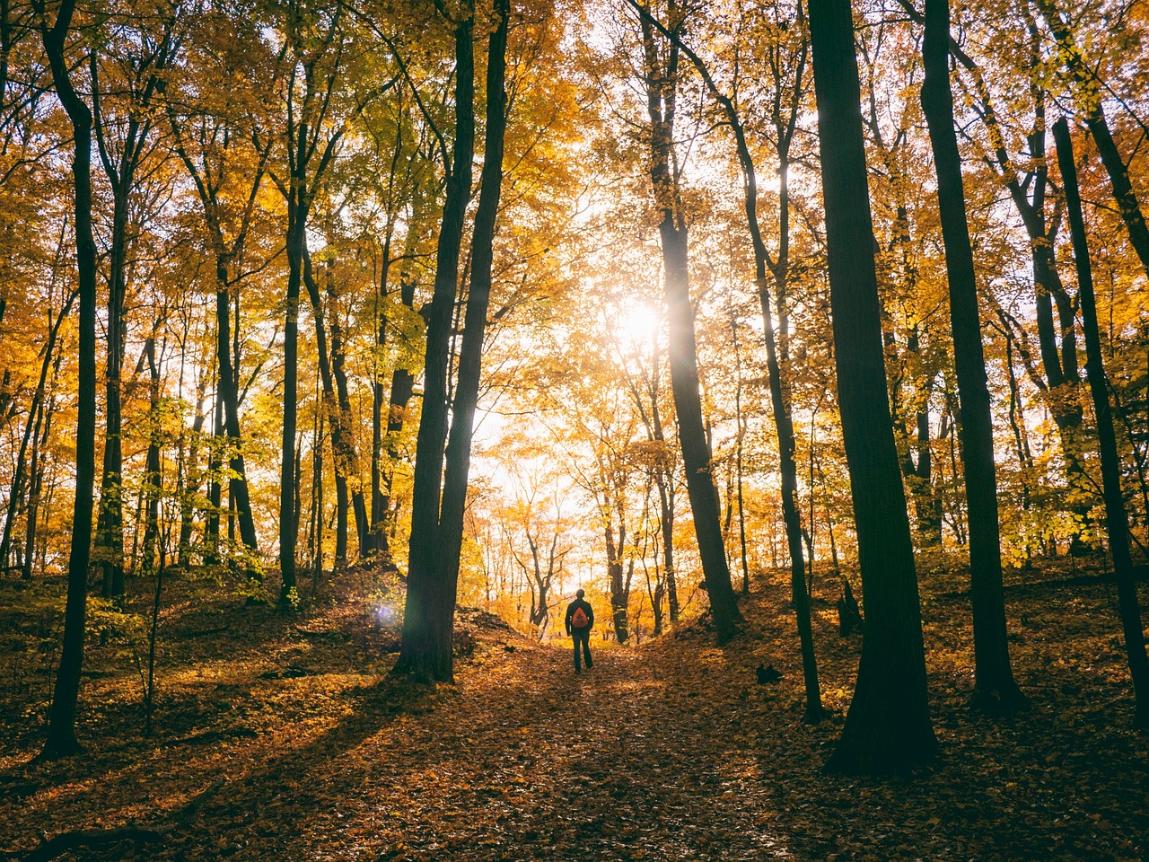 Man die 's ochtends buiten wandelt in de herfst met koud ochtendlicht