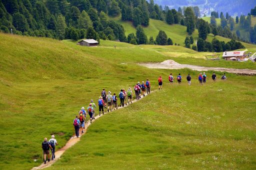 Een kleine groep wandelaars op een bergpad tijdens een trektocht